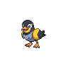 Wattrel