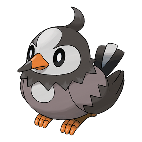 Starly official artwork